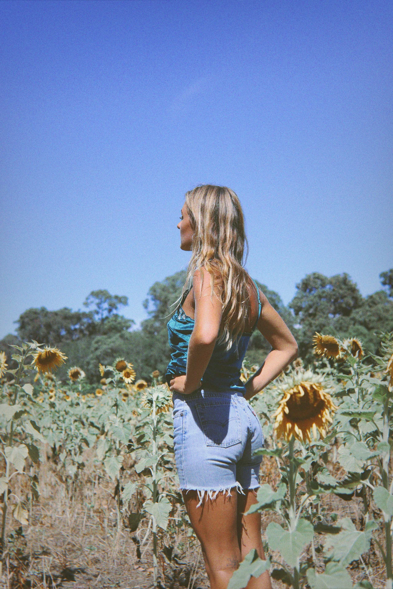 Hendrix Cami -  Teal - Image 4