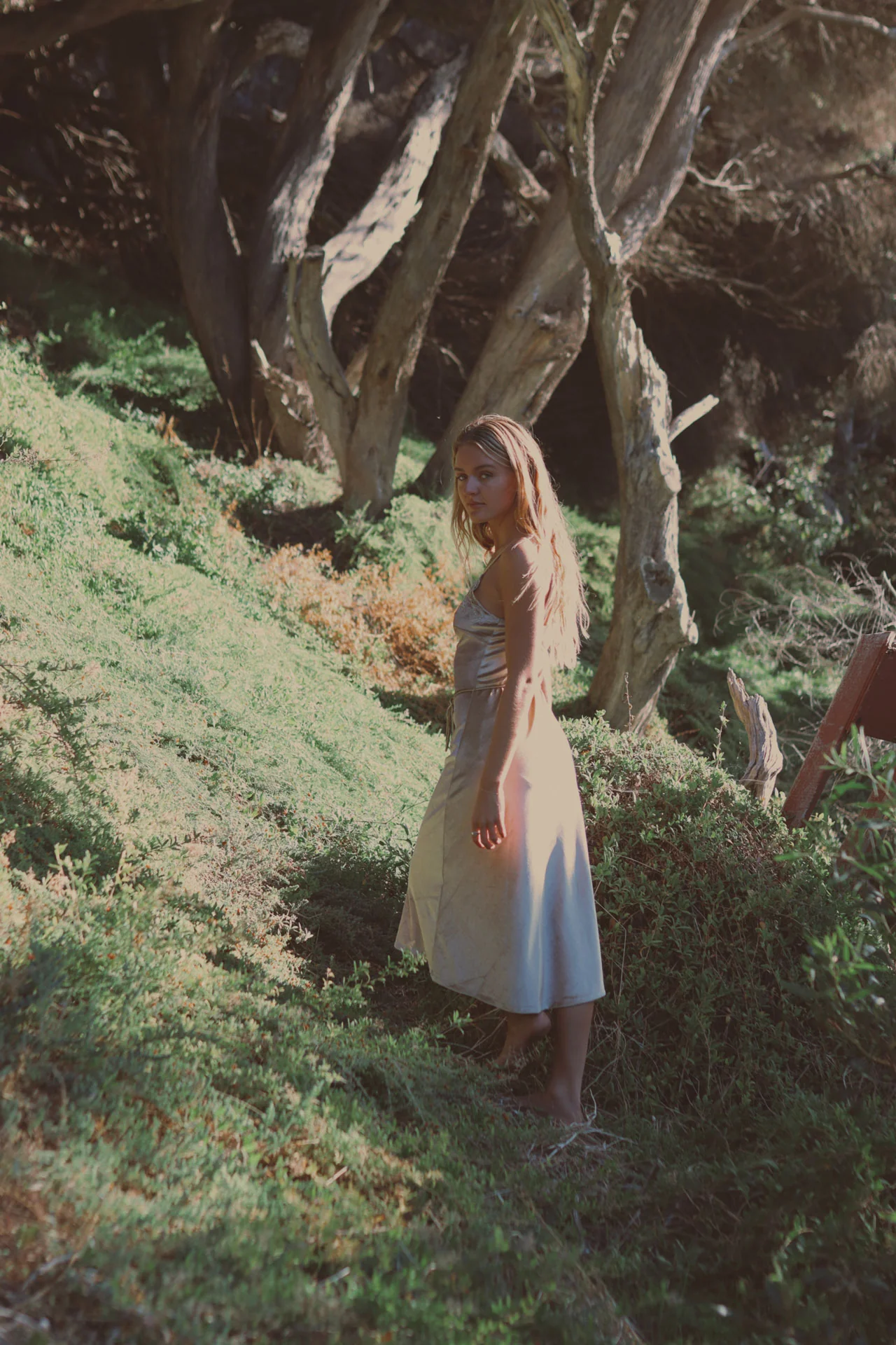 Hendrix Midi Dress - Champagne - Image 6