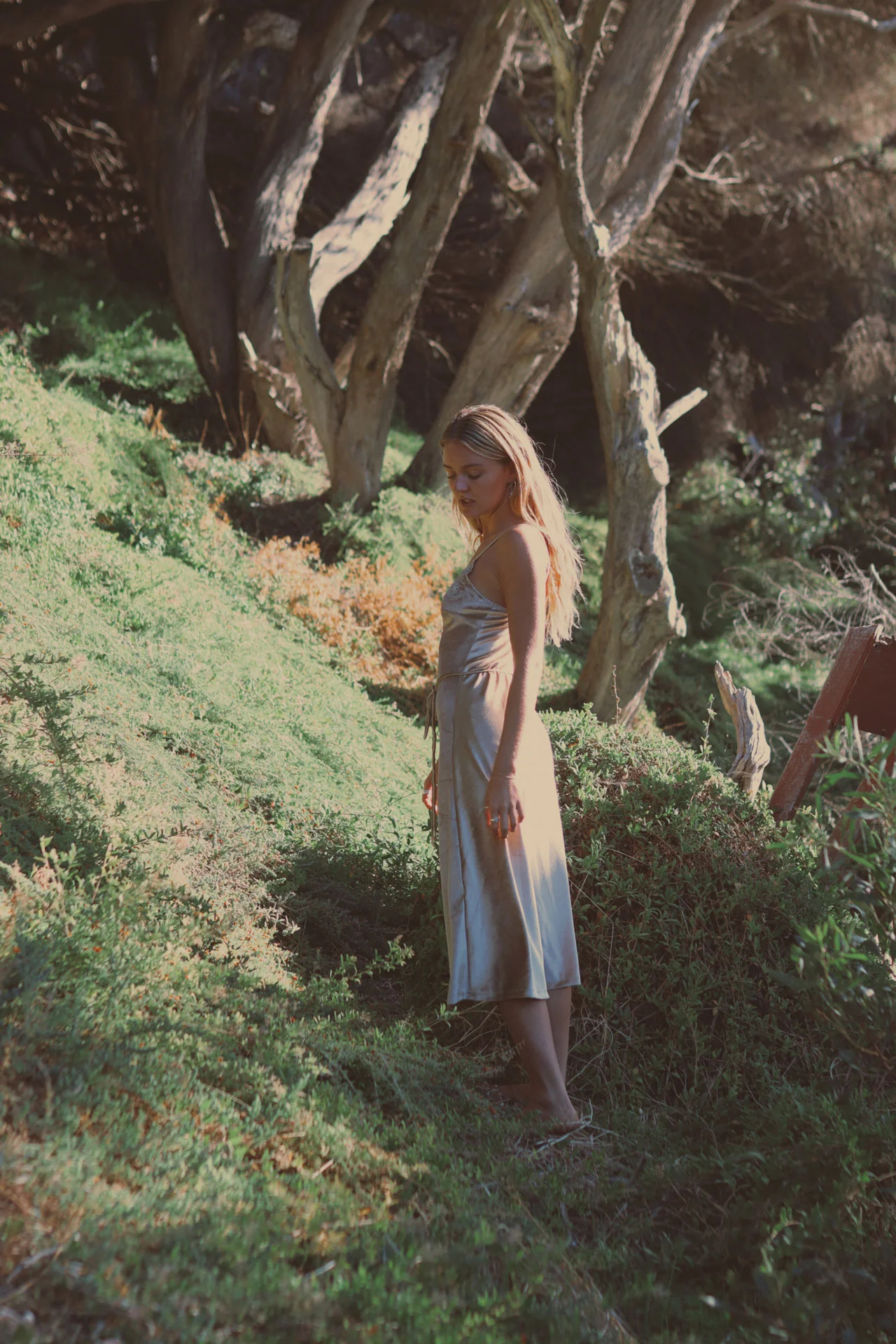 Hendrix Midi Dress - Champagne - Image 7